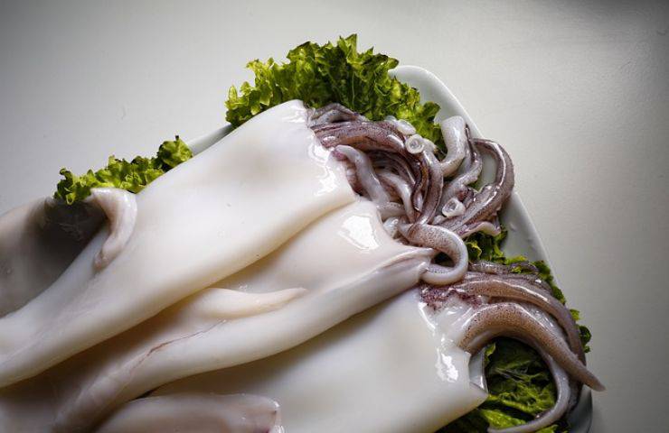 calamari ripieni ricetta