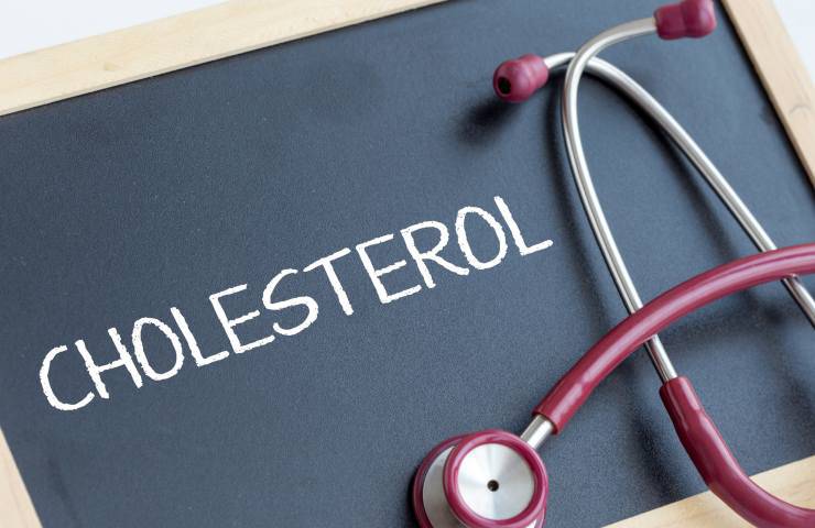 colesterolo cos è cause 