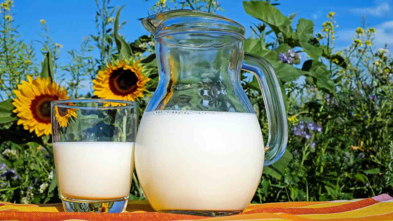 latte sulle piante