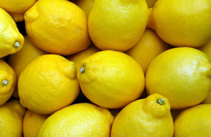 Marmellata limoni ricetta facile veloce