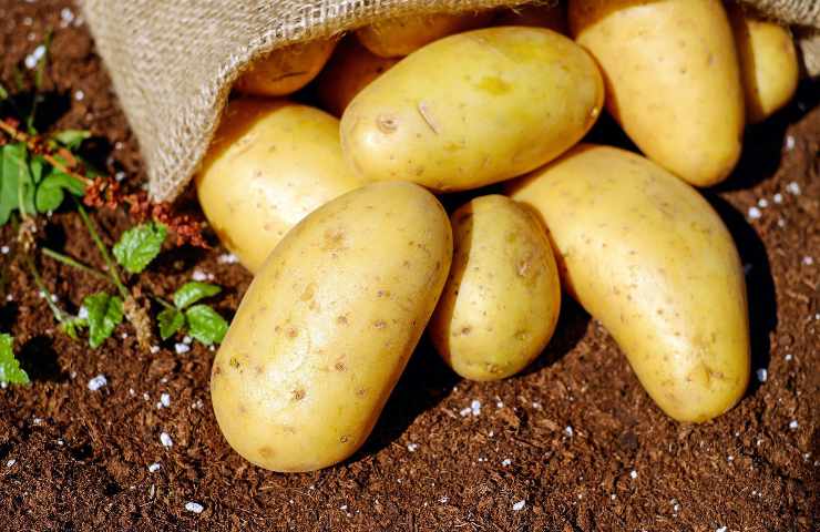 Come conservare patate non germogliare