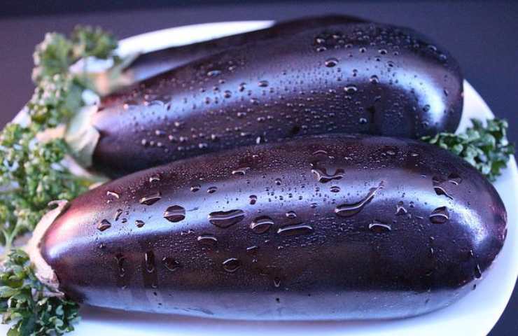 melanzane viola ricette
