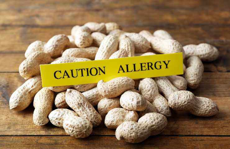 Allergene arachide 4 prodotti da forno