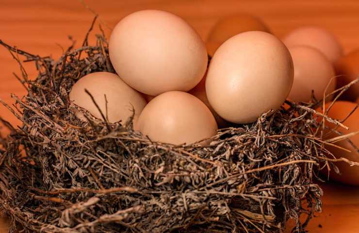 uova quante mangiarne a settimana
