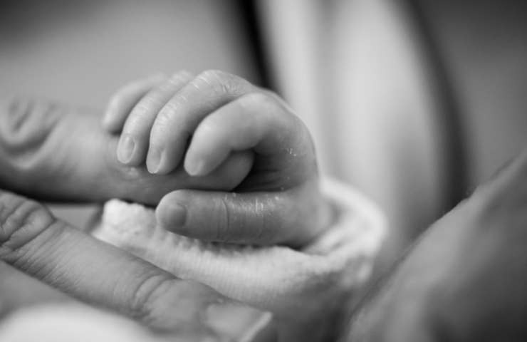 Neonato rischia la vita: madre mangia le ostriche prima del parto