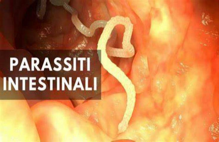 Parassiti intestinali cause rimedi naturali