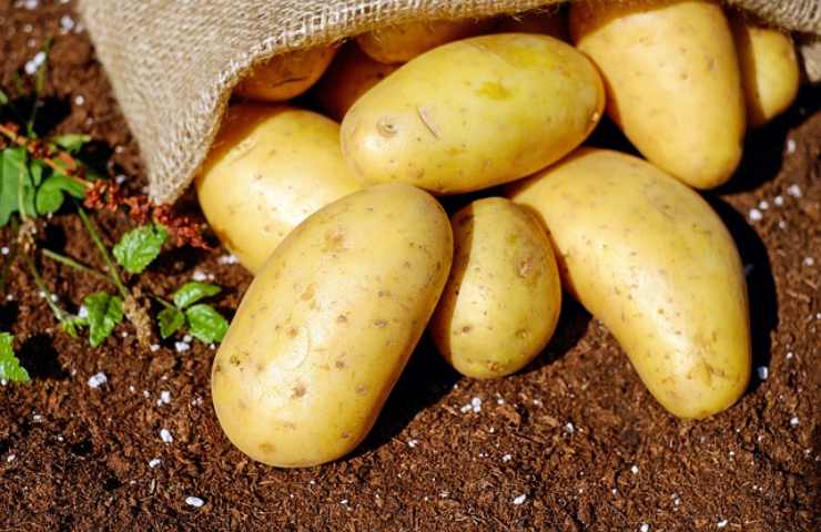 patate filanti padella ricetta