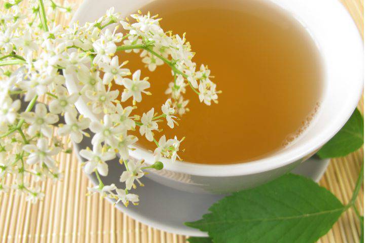 tè bianco proprietà benefici
