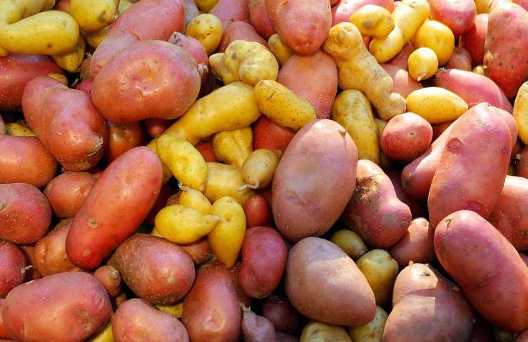 ricetta polpettone melanzane patate