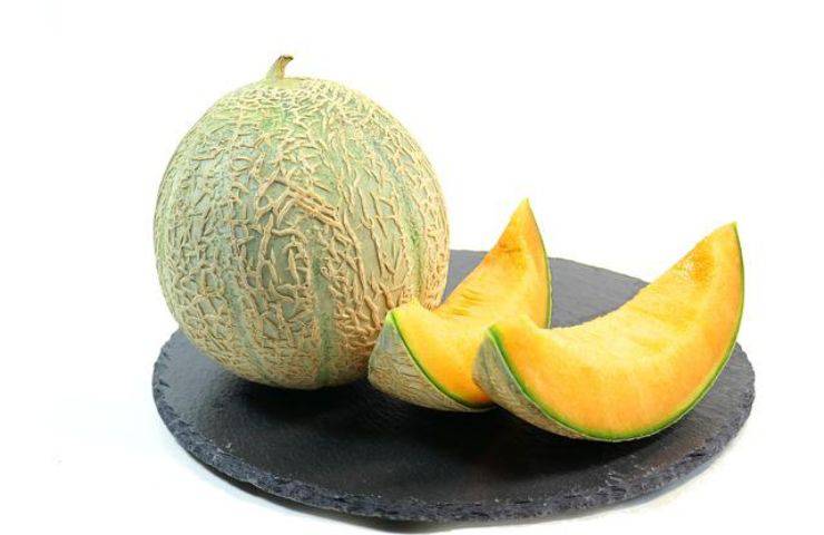 melone cantalupo