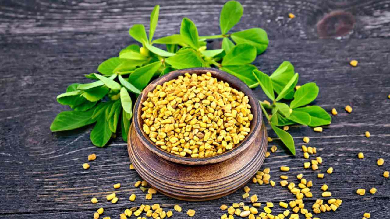 Varför är bockhornsklöver bra för din hälsa?  Medicinska egenskaper och användningsområden