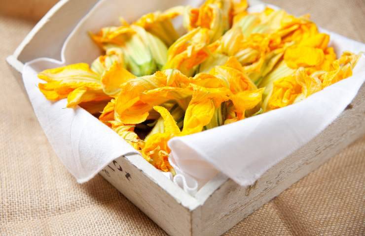 crepes fiori zucca ricetta