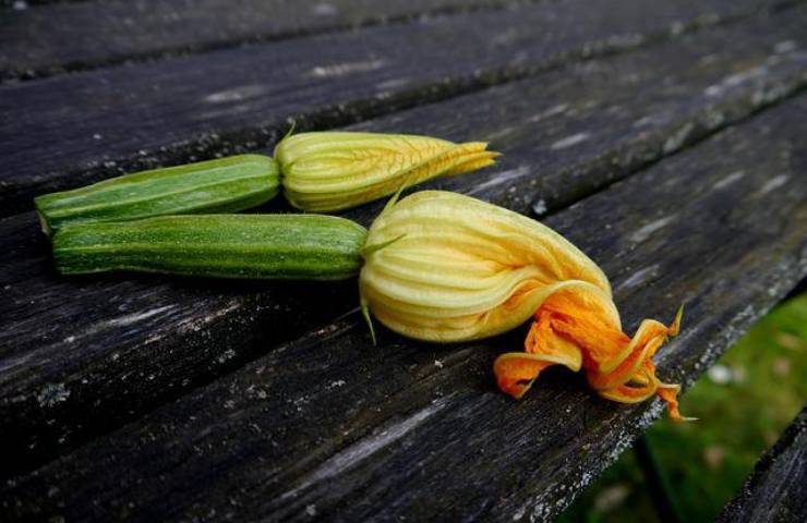 Risotto zucchine fiori di zucca e caprino ricetta