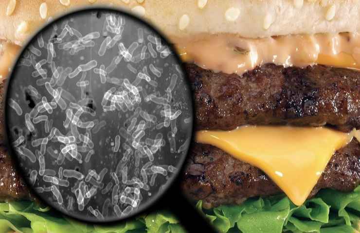 Salmonella hamburger lotto bloccato Ministero dettagli