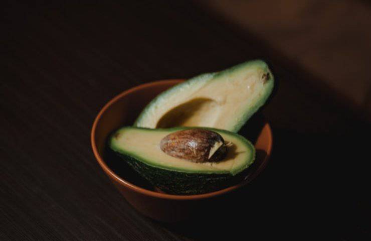 mousse avocado