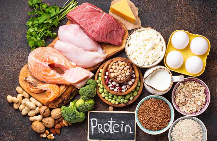 alimenti contengono proteine