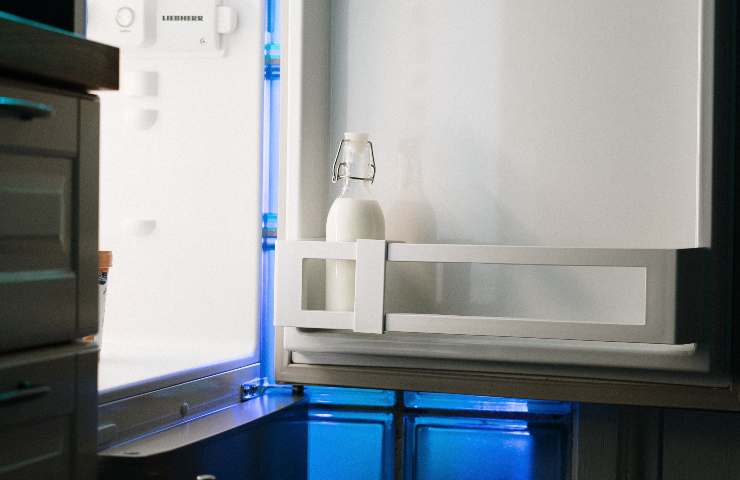 Eliminare muffa guarnizioni frigorifero