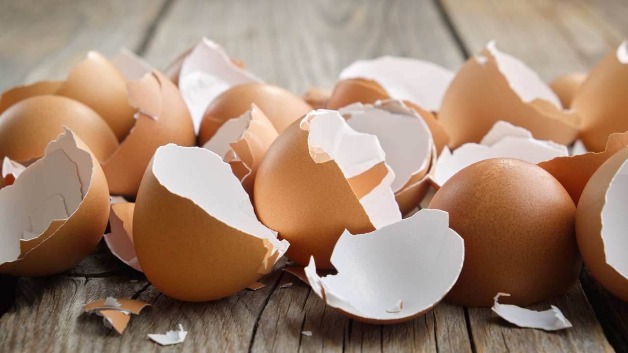 Gusci d'uovo non buttarli motivo