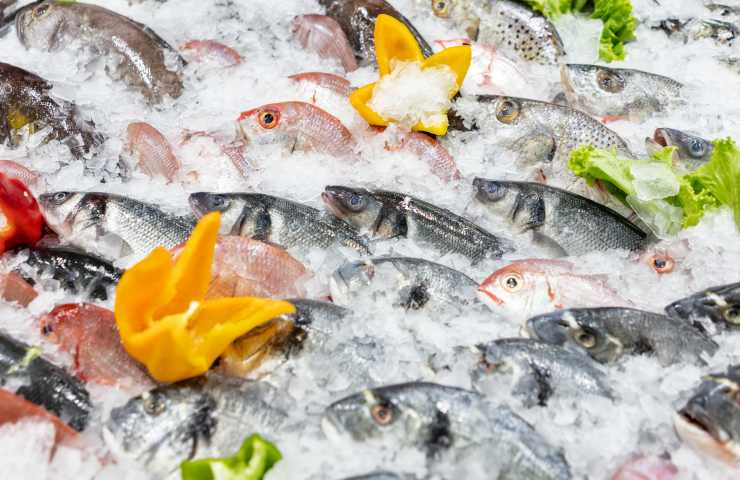 scegliere pesce supermercato qualità