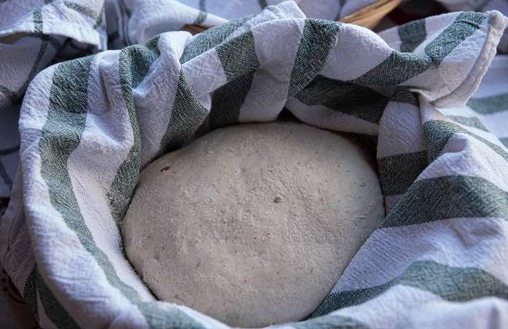 Come congelare impasto pane