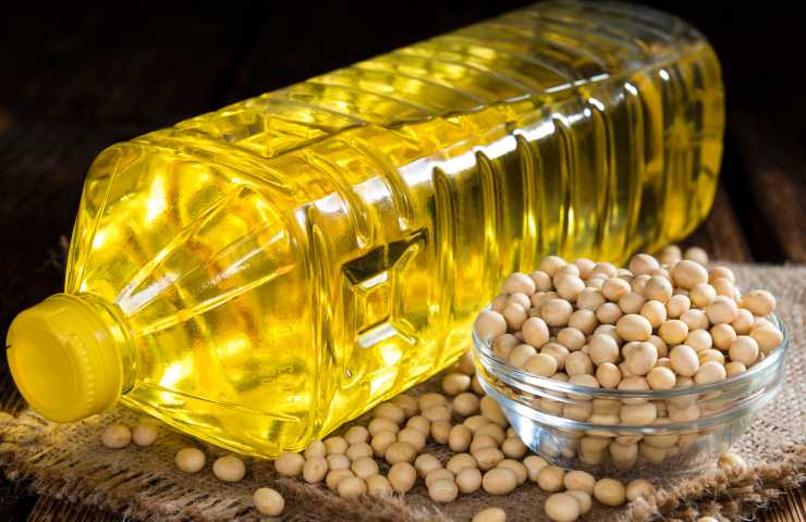 olio di semi usi varietà