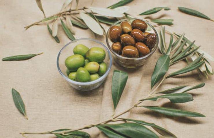 olive salamoia ricetta