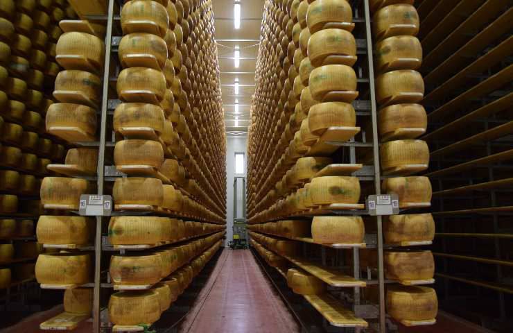 Parmigiano Reggiano made in Italy allarme produzione