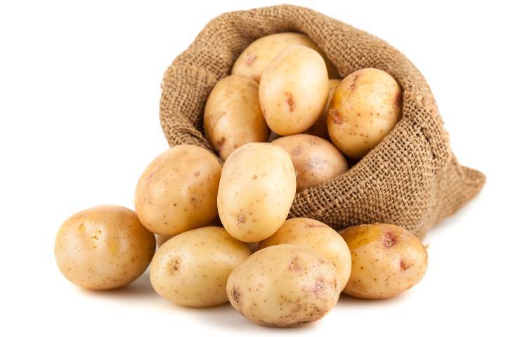 Spezzatino con patate ricetta