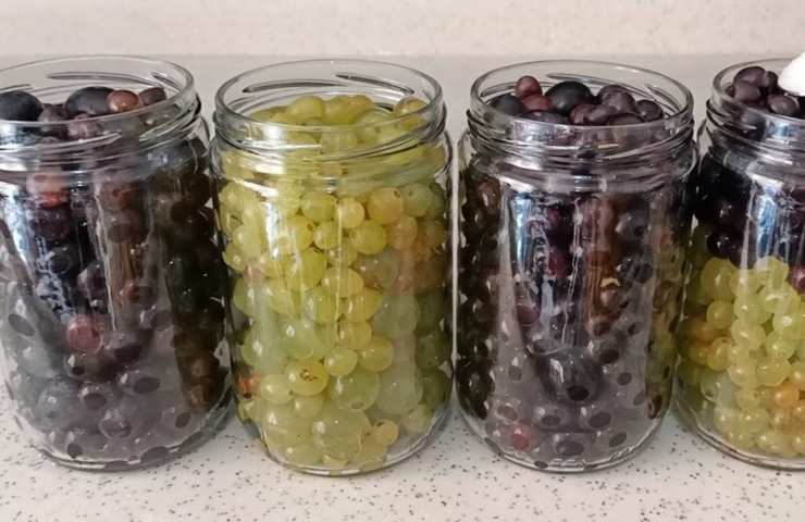 Uva nei barattoli di vetro trucco conservare frutta tutto anno
