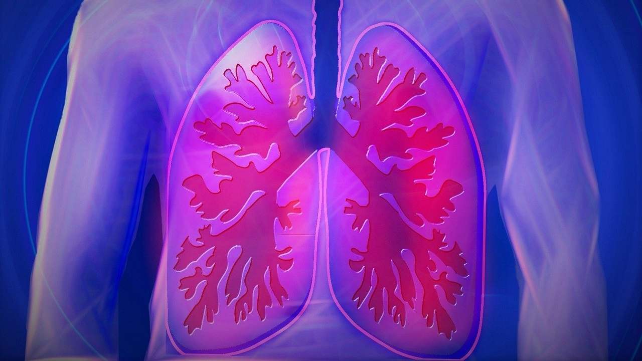 Ingrediente letale polmoni sembra innocuo