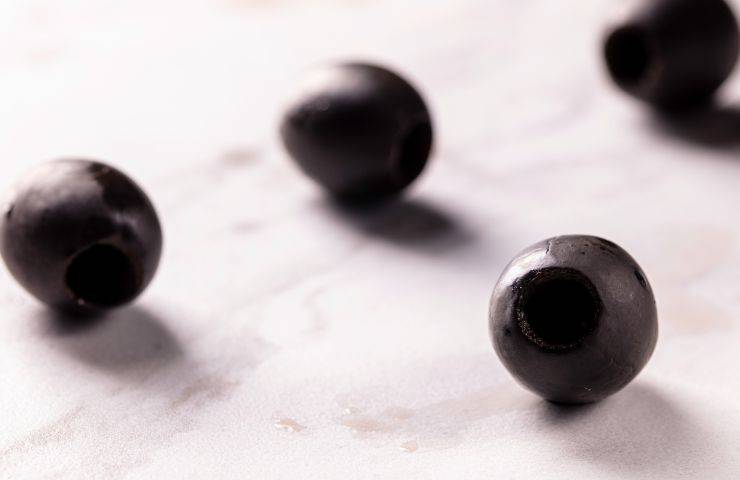 false olive nere
