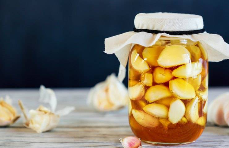 honey garlic health body