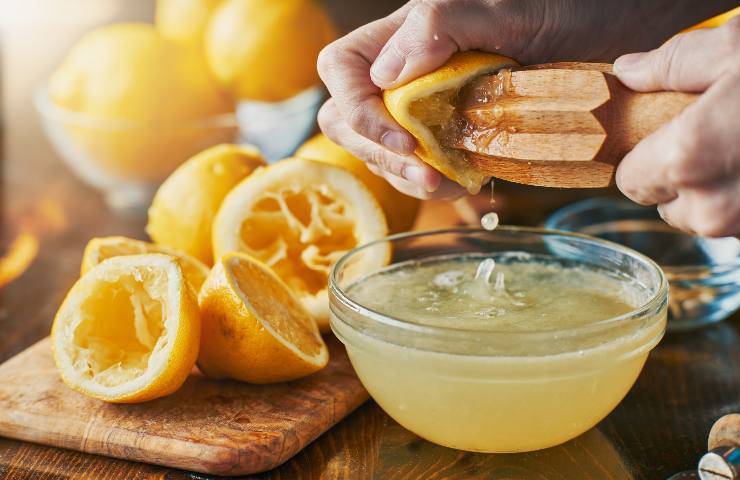 citronette al limone ricetta
