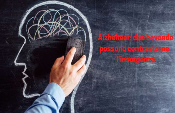 Alzheimer studi recenti