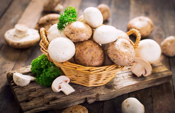 pasta patate funghi taleggio ricetta