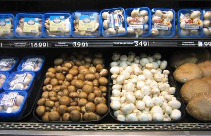 Tutta la verità sui funghi che compri al supermercato: nessuno se lo aspettava