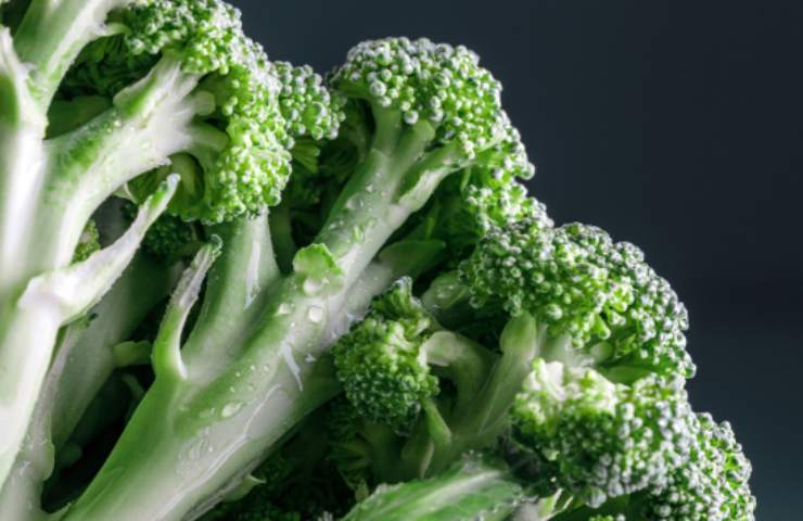 3 ricette gambi broccolo