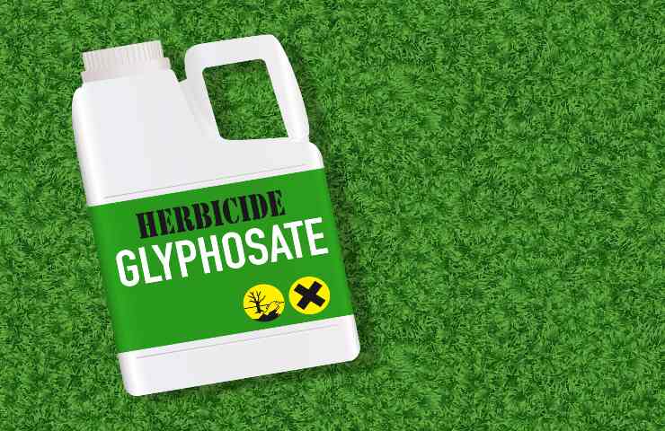 pesticidi glifosato pasta