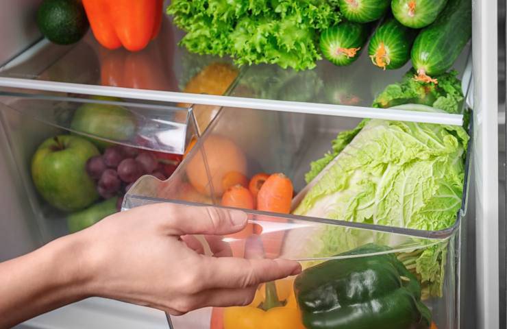 frutta verdura frigorifero