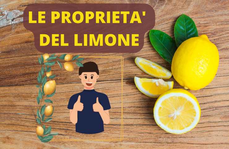 limone proprietà