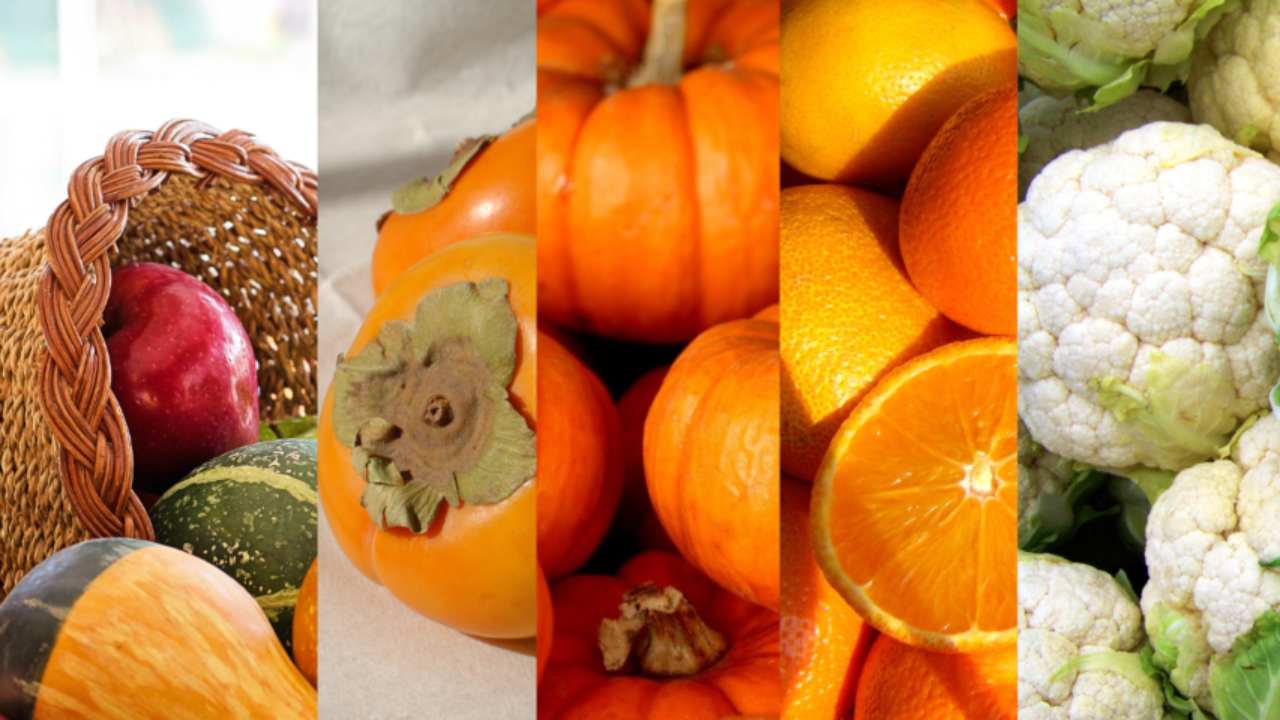 Novembre Frutta e verdura di stagione
