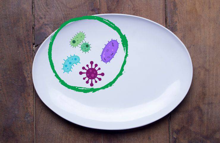 batteri piatto