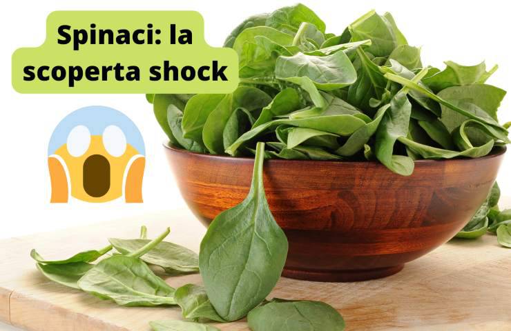 spinaci 