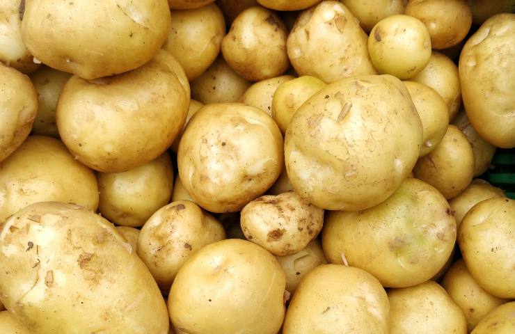 ricetta patate gratin