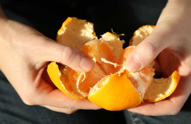 Bucce mandarino come usarle