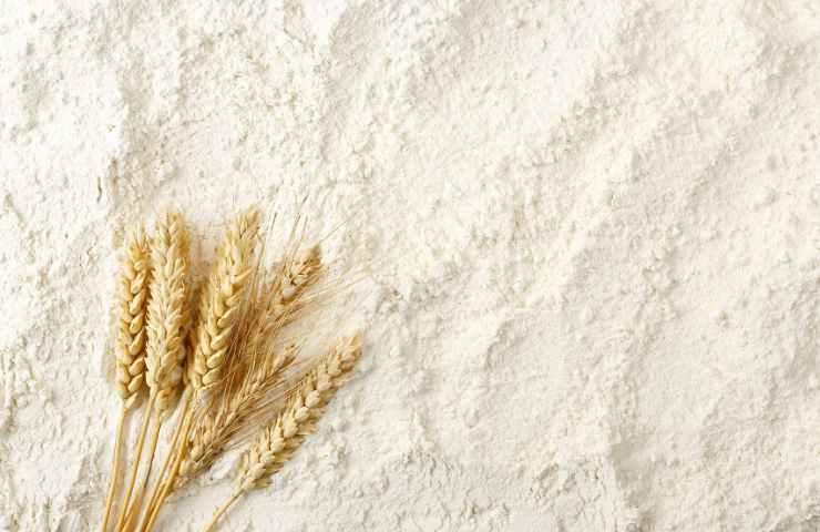 Della farina e del frumento