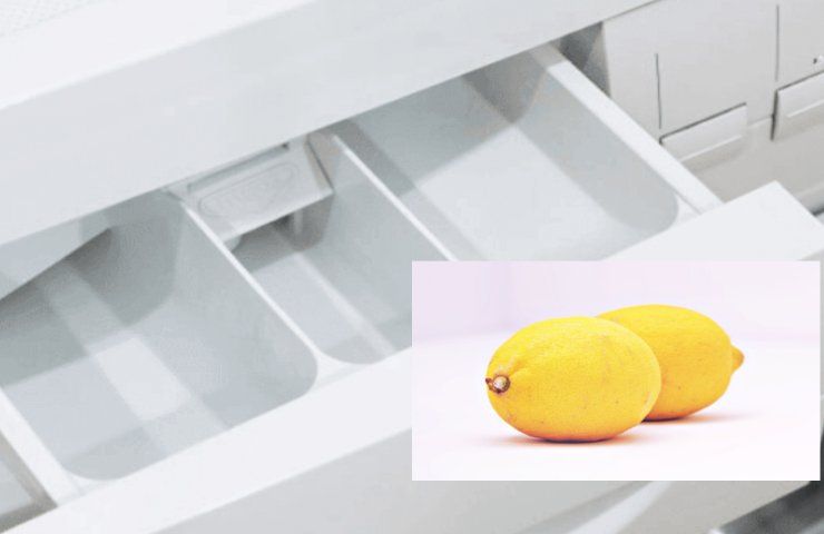 limoni vaschetta lavatrice