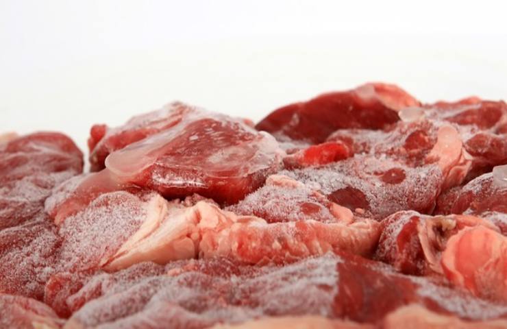 quanto si può conservare la carne congelata