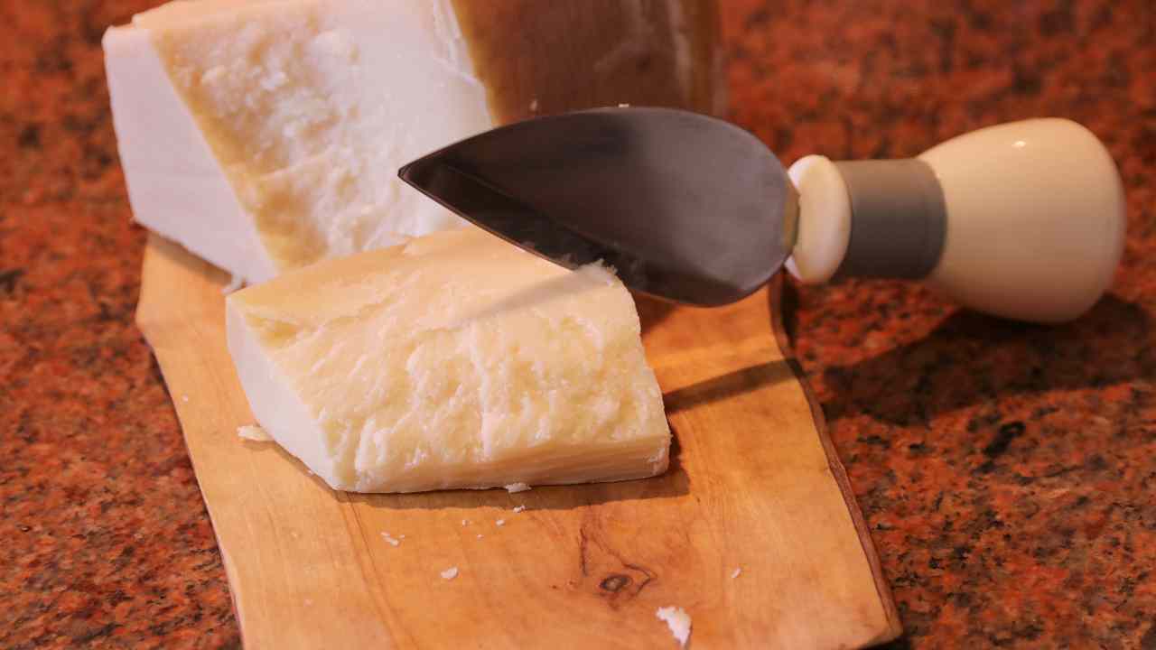 formaggio contaminato ocratossine rischio lotti marca grana
