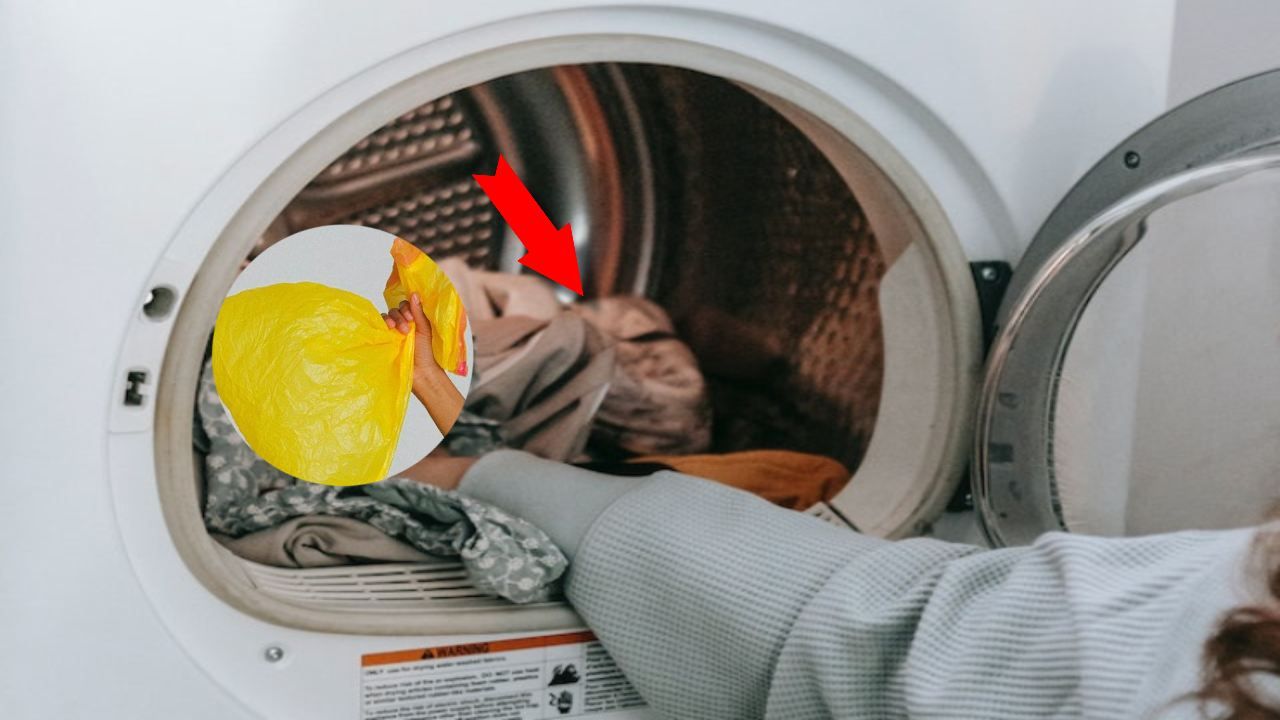 busta plastica lavatrice